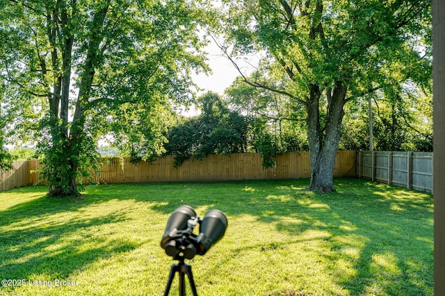 773 Ardmore Ln, Shelbyville, KY 40065 - photo 27