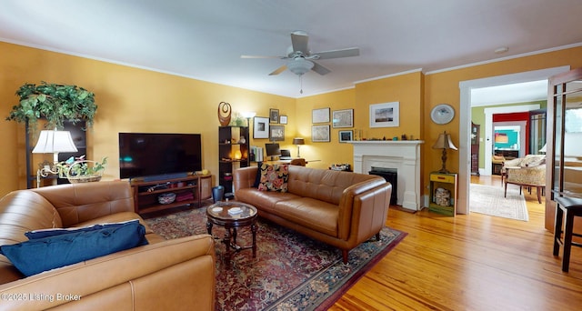 1017 Ash St, Louisville, KY 40217 - photo 2