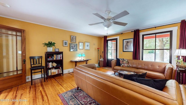 1017 Ash St, Louisville, KY 40217 - photo 6