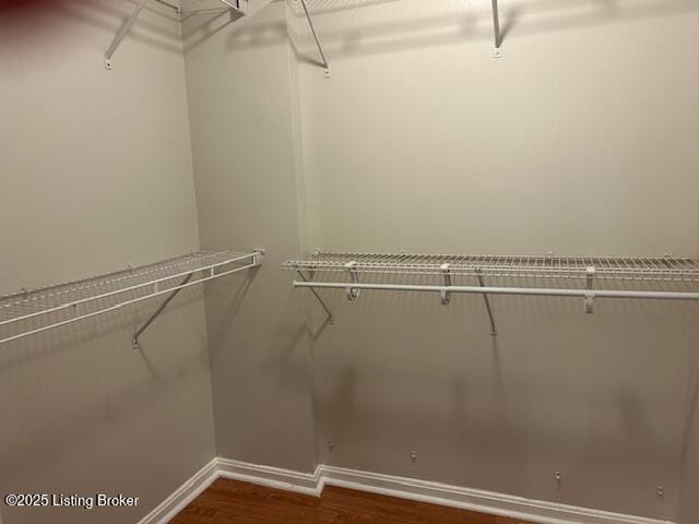 11403 N Tazwell Dr, Louisville, KY 40241 - photo 13