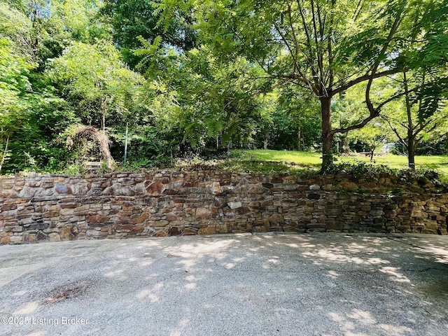 1729 Jm Mercer Campsite Rd, Hudson, KY 40145 - photo 6