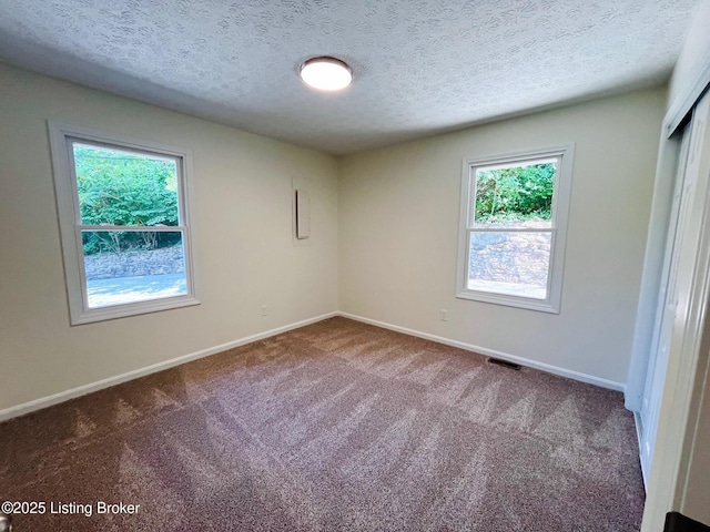 1729 Jm Mercer Campsite Rd, Hudson, KY 40145 - photo 23