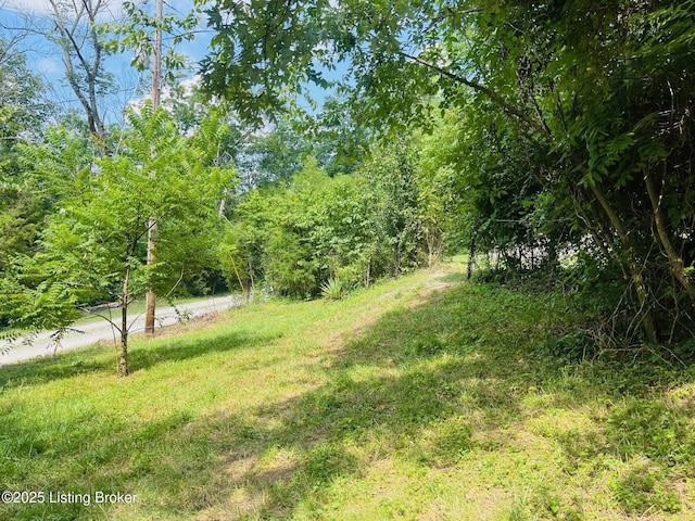 1729 Jm Mercer Campsite Rd, Hudson, KY 40145 - photo 33