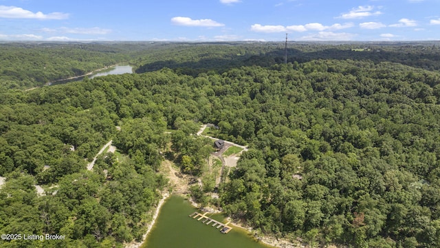 1 Twin Oaks Dr, Mammoth Cave, KY 42259 - photo 11