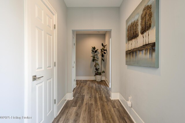 199 Allen Pl E, Taylorsville, KY 40071 - photo 26