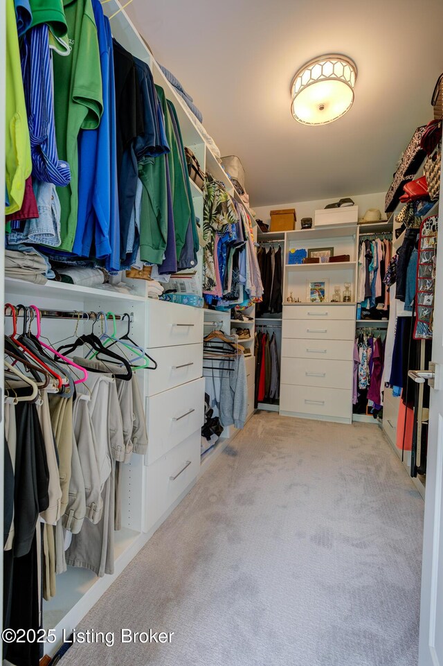 199 Allen Pl E, Taylorsville, KY 40071 - photo 33