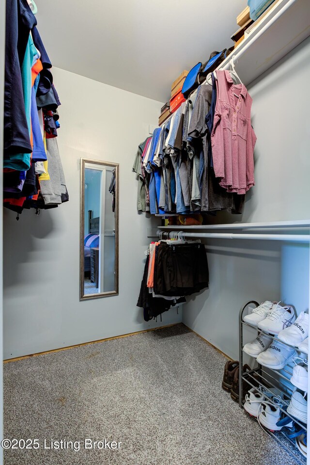 199 Allen Pl E, Taylorsville, KY 40071 - photo 43