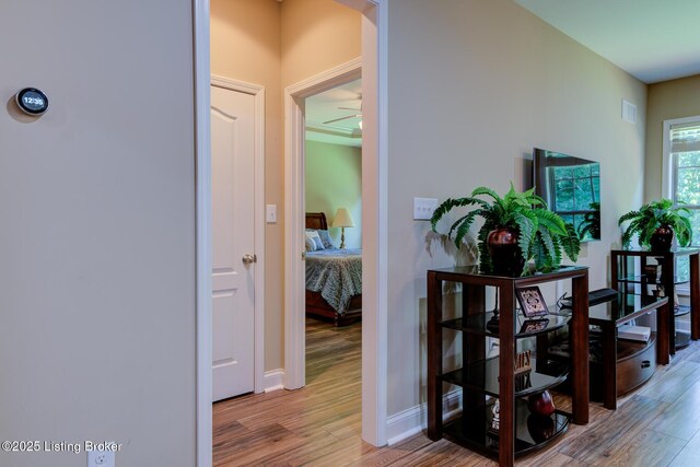 6924 Franklin Farmer Way, Louisville, KY 40229 - photo 19