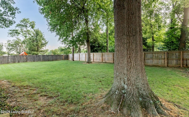 502 Willow Stone Way, Louisville, KY 40223 - photo 80