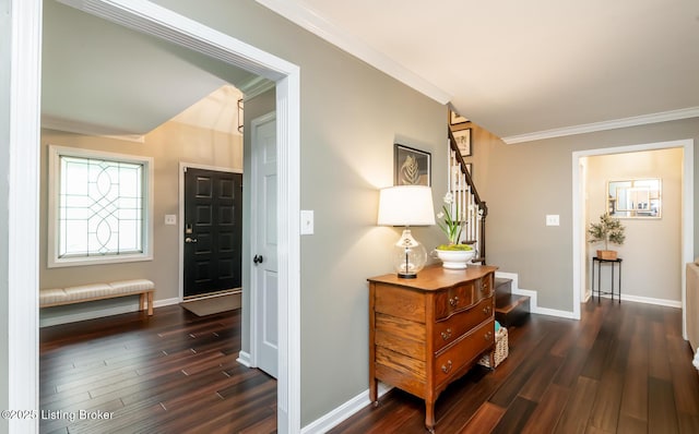 502 Willow Stone Way, Louisville, KY 40223 - photo 29