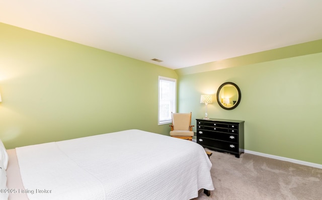 502 Willow Stone Way, Louisville, KY 40223 - photo 59