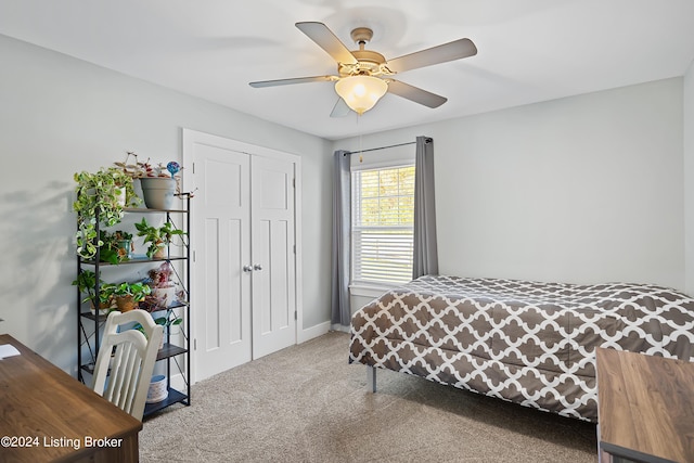 10801 Hidden Forest Way, Louisville, KY 40229 - photo 19