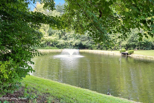 3605 Ramblin Creek Rd, Louisville, KY 40299 - photo 3