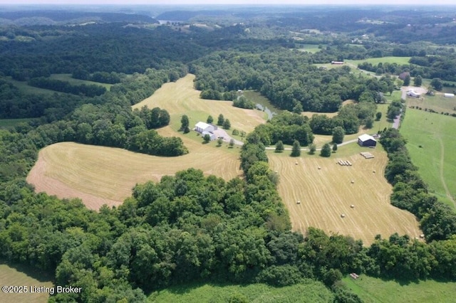 794 Highview Church Rd, Bloomfield, KY 40008 - photo 4