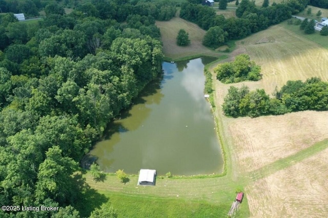 794 Highview Church Rd, Bloomfield, KY 40008 - photo 10