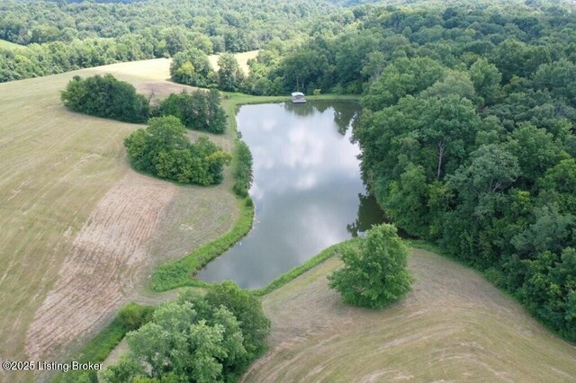 794 Highview Church Rd, Bloomfield, KY 40008 - photo 12