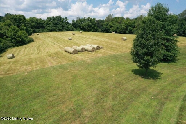 794 Highview Church Rd, Bloomfield, KY 40008 - photo 20
