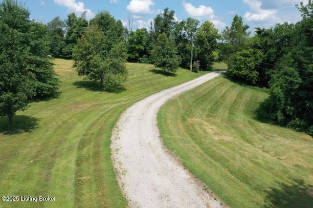 794 Highview Church Rd, Bloomfield, KY 40008 - photo 21