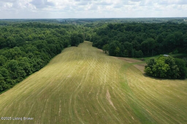 794 Highview Church Rd, Bloomfield, KY 40008 - photo 26