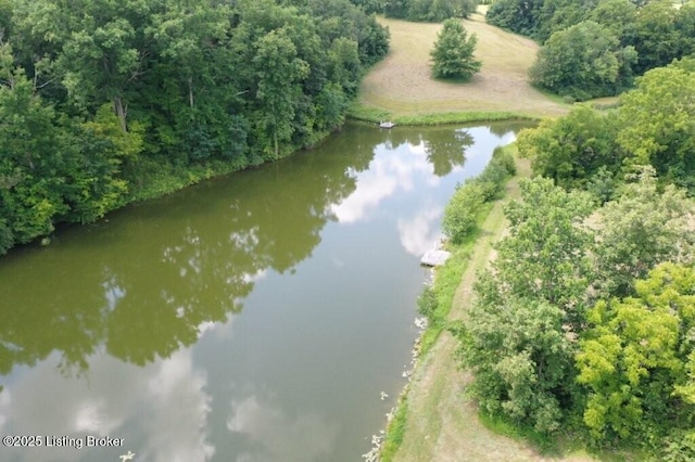 794 Highview Church Rd, Bloomfield, KY 40008 - photo 28