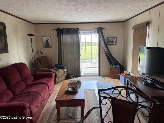 794 Highview Church Rd, Bloomfield, KY 40008 - photo 39