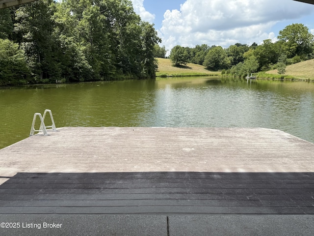 794 Highview Church Rd, Bloomfield, KY 40008 - photo 44