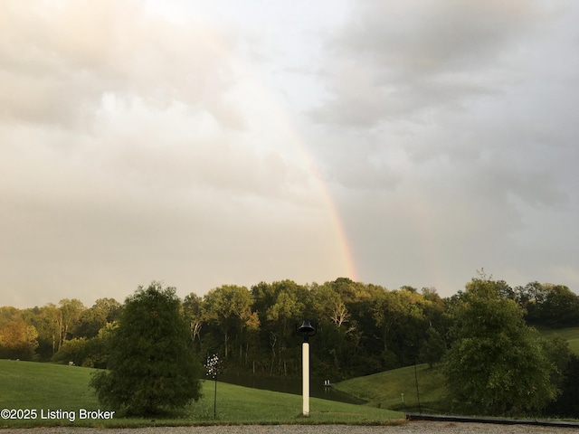 794 Highview Church Rd, Bloomfield, KY 40008 - photo 46