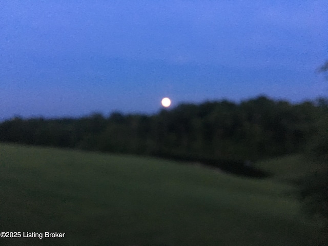 794 Highview Church Rd, Bloomfield, KY 40008 - photo 53