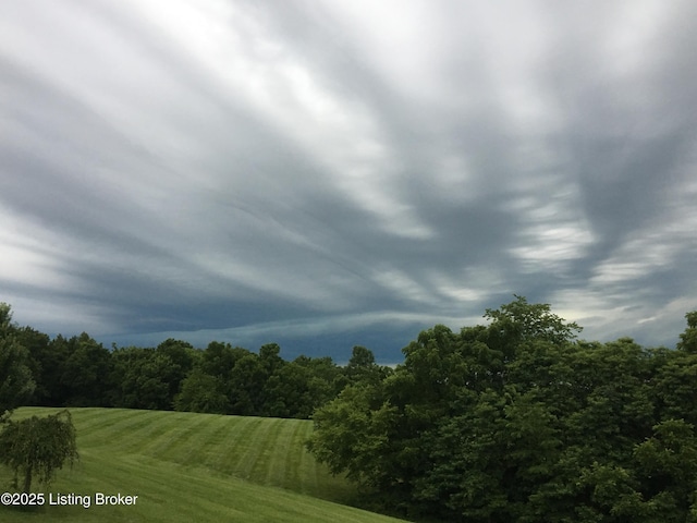794 Highview Church Rd, Bloomfield, KY 40008 - photo 54