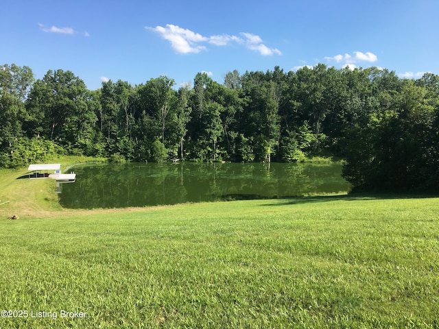 794 Highview Church Rd, Bloomfield, KY 40008 - photo 56