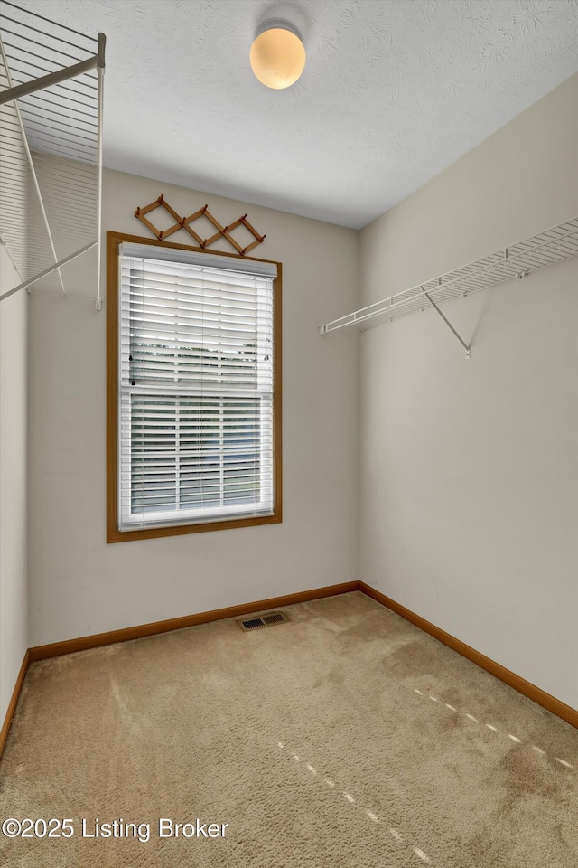 9406 Wood Hollow Rd, Louisville, KY 40229 - photo 39