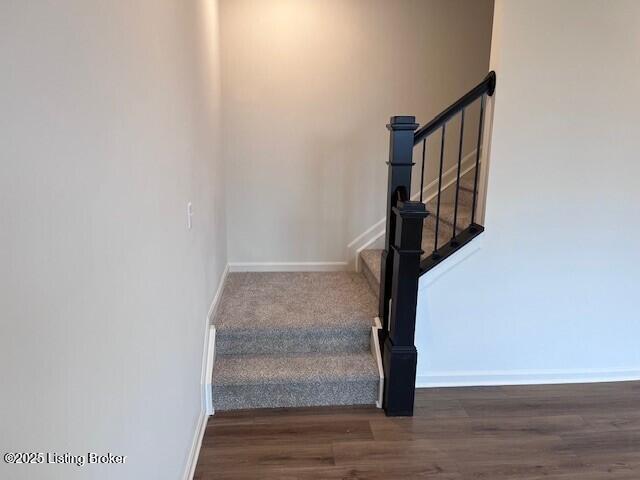 8803 Amaranth Dr, Louisville, KY 40291 - photo 18