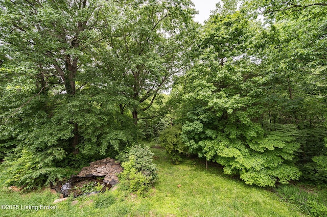 954 W Laurel River Rd, Shepherdsville, KY 40165 - photo 59