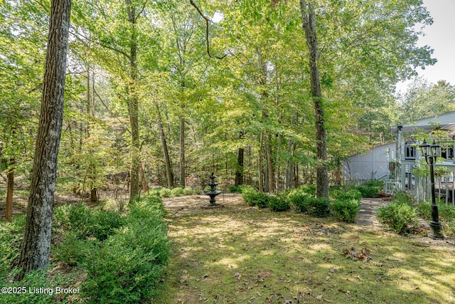 80 Knotty Pine Ct, Brandenburg, KY 40108 - photo 37
