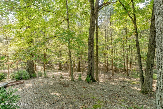 80 Knotty Pine Ct, Brandenburg, KY 40108 - photo 40