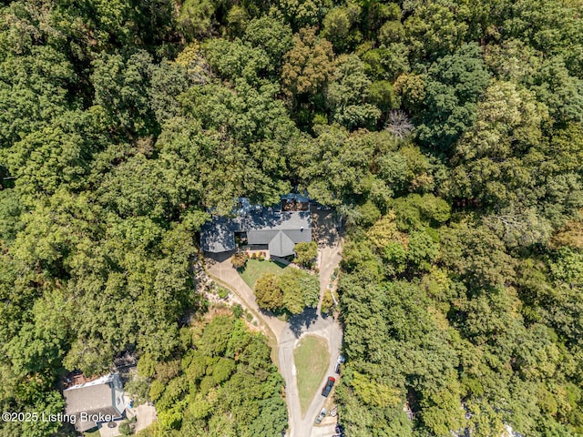 80 Knotty Pine Ct, Brandenburg, KY 40108 - photo 55