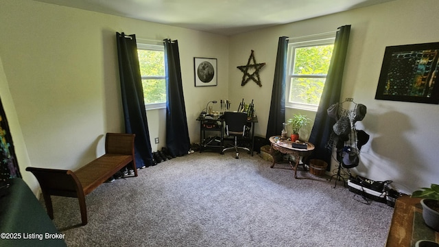 2111 Fulton Dr, Charlestown, IN 47111 - photo 41