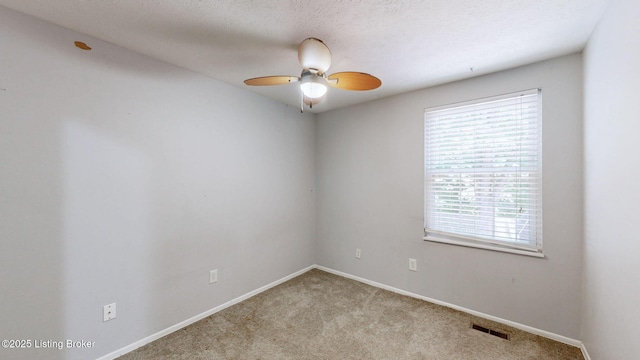 8708 Bost Ln, Louisville, KY 40219 - photo 12