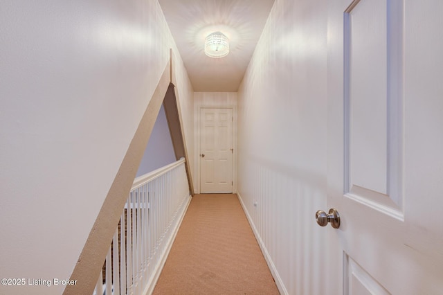 5236 Moccasin Trl, Louisville, KY 40207 - photo 41