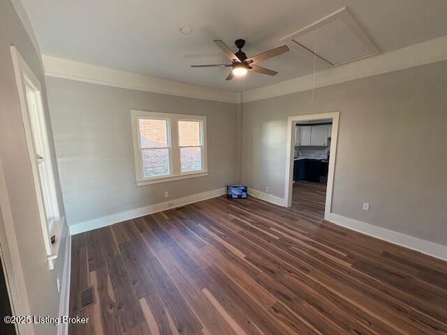 107 Payne Ave, Bardstown, KY 40004 - photo 17