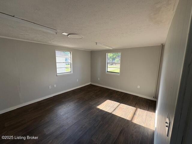 107 Payne Ave, Bardstown, KY 40004 - photo 33