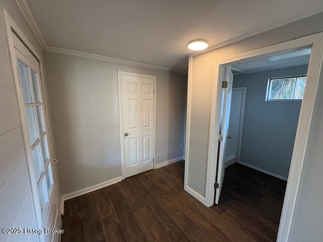107 Payne Ave, Bardstown, KY 40004 - photo 36
