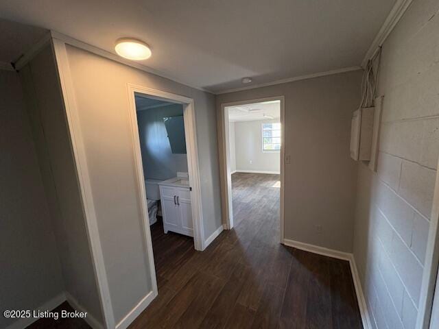 107 Payne Ave, Bardstown, KY 40004 - photo 37