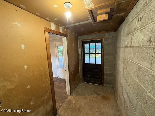 107 Payne Ave, Bardstown, KY 40004 - photo 43