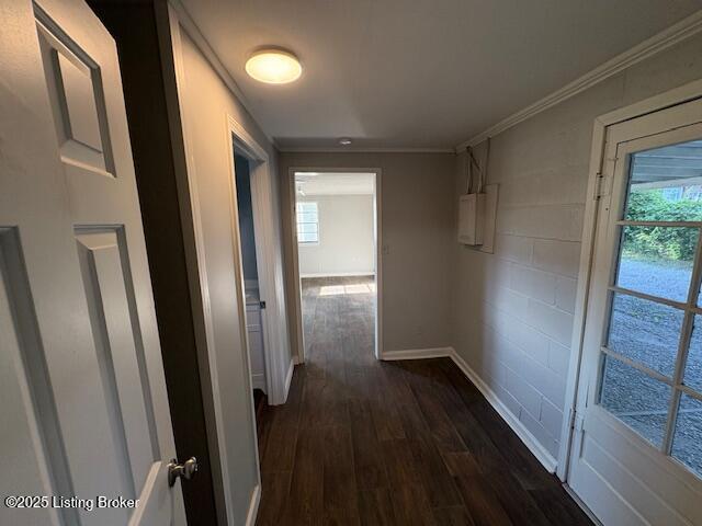 107 Payne Ave, Bardstown, KY 40004 - photo 44