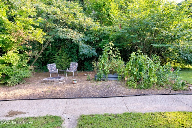 9703 Fairmount Rd, Louisville, KY 40291 - photo 35