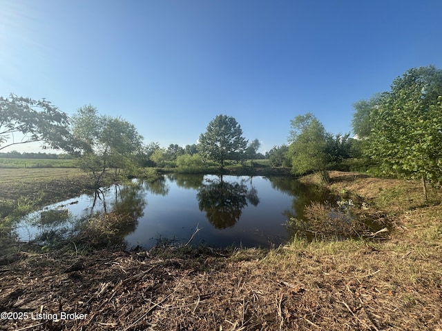520 Blanche Rd, Falls Of Rough, KY 40119 - photo 6