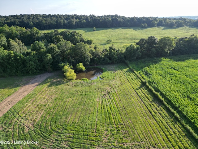 520 Blanche Rd, Falls Of Rough, KY 40119 - photo 10