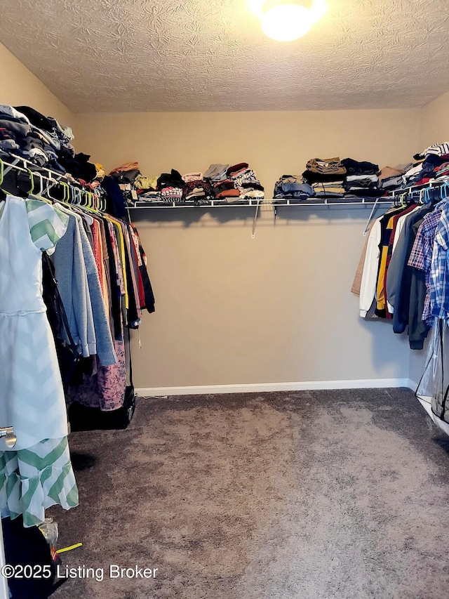 6912 Beckingham Blvd, Louisville, KY 40299 - photo 23
