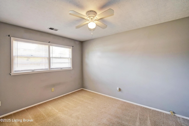 6204 Hackberry Way, Louisville, KY 40229 - photo 16